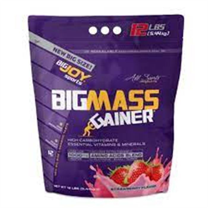Bigjoy Bigmass Çilek 5440 g