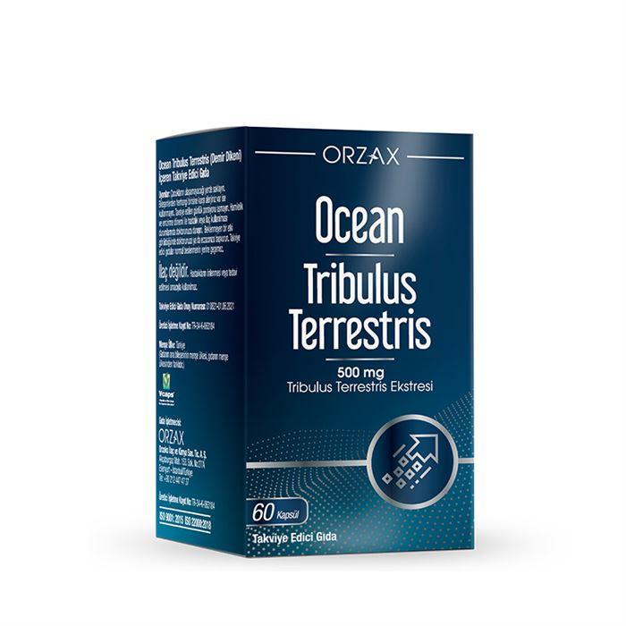 Orzax Ocean Tribulus Terrestris 500 mg 60 Kapsül 